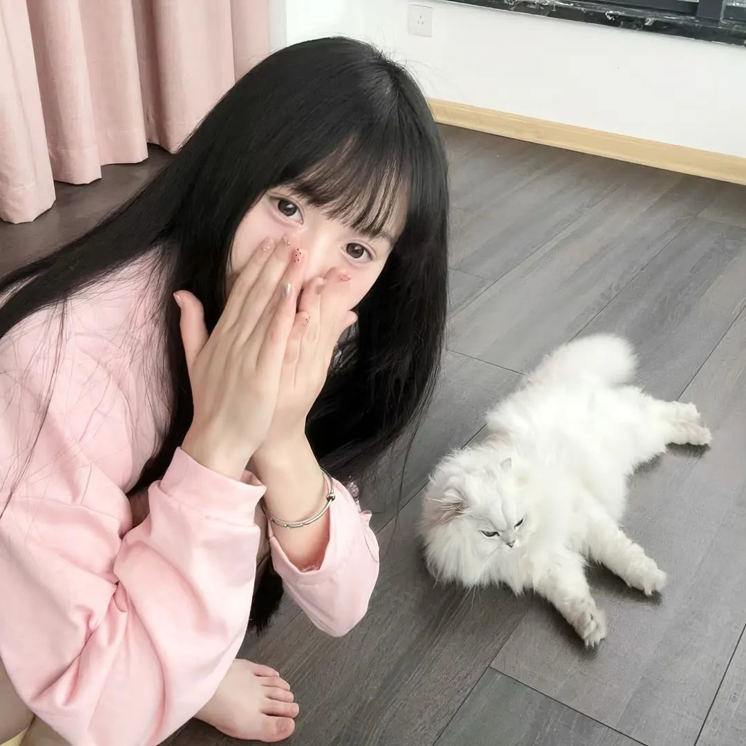 这里的黎明静悄悄